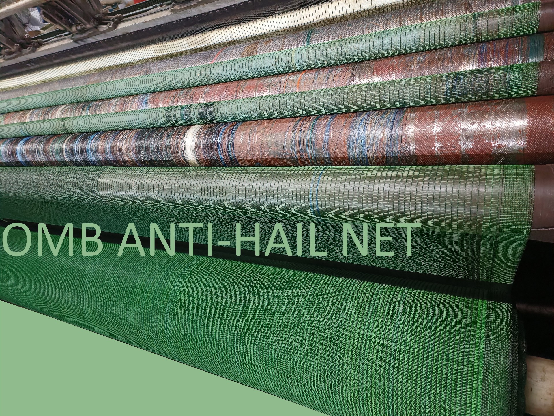 OMB ANTI-HAIL NET 主图4.jpg