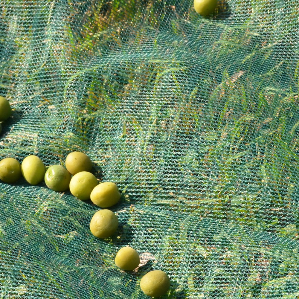 Nuts-and-Olive-Catching-Nets-with-Grommets.jpg