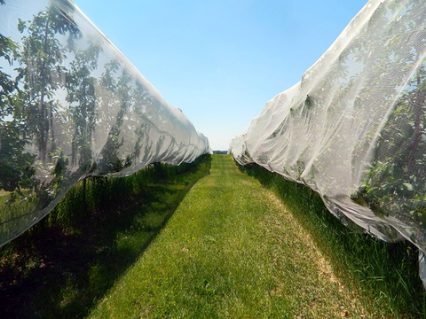 hail net for garden.png